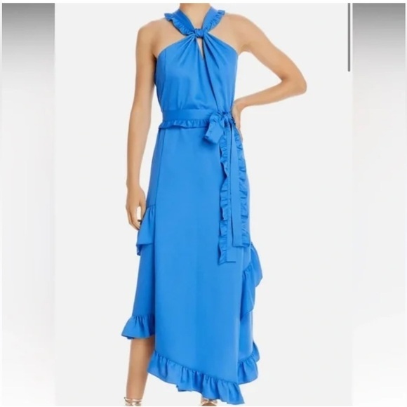 Derek Lam Dresses & Skirts - DEREK LAM 10 CROSBY Dasha Dress Size 00